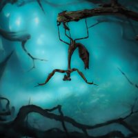 -- :: Олег Савицкий