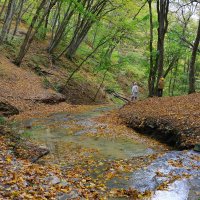 Ручей :: Evgeny Mameev