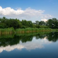 *** :: Николай Гирш