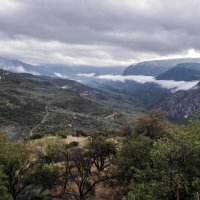 ** :: Александр Липовецкий