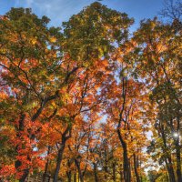 *** :: Сергей Григорьев *** :: Сергей Григорьев