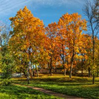 *** :: Сергей Григорьев