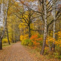 В осеннем парке... :: Владимир Жданов