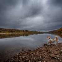 ... октябрь на Оке, в ожидании наступающих холодов ,,, :: Дмитрий Сундеев
