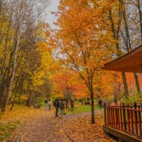 В осеннем парке... :: Владимир Жданов