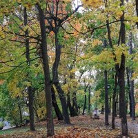 Шлиссельбург. Октябрь :: Наталья Герасимова