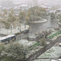 Первый снег :: Виктор Иванович Чернюк