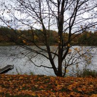 Зрелая осень :: Андрей Лукьянов Зрелая осень :: Андрей Лукьянов