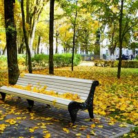 Золотая осень в городском саду. :: Милешкин Владимир Алексеевич 