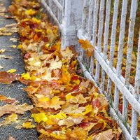 Золотой ручеек... :: Bosanat Золотой ручеек... :: Bosanat