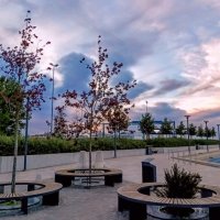 Закат на набережной Финского залива :: Veera V Закат на набережной Финского залива :: Veera V