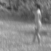 Летний ливень :: Валерий Кролик