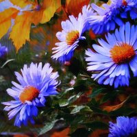 Осенняя красота :: Людмила Смородинская