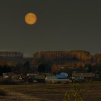 Золотая Луна золотой осенью... :: Владимир Хиль