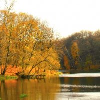 ПРУД В ОСЕННЕМ ОБРАМЛЕНИИ :: Валентина 