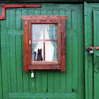 Коломна :: skijumper Иванов