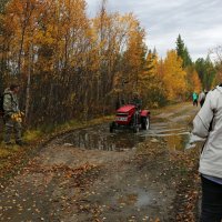 Лесными тропинками :: Ольга 