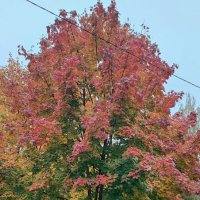 ,,, :: Сергей Тимоновский