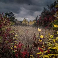 Untitled. :: Андрей. 