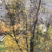 Прощай, Золотая Осень..... :: Татьяна Юрасова