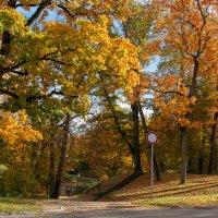 *** :: Геннадий Порохов