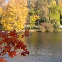 *** :: Геннадий Порохов *** :: Геннадий Порохов