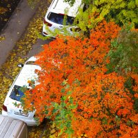 Мимоходом... :: Юрий Куликов