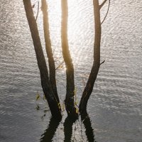 Осень на пруду :: Фёдор. Лашков