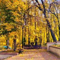 В парке :: Галина Бобкина