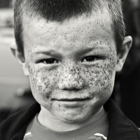 Рыжий-рыжий... :: СЮ 