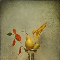 *** :: Oleg Rastorguev