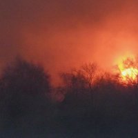 - :: Aндрей Антонов