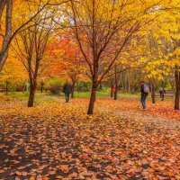 Палитра октября... :: Владимир Жданов