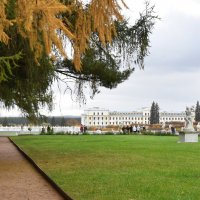 Ещё одна осень в Архангельском. :: tatiana Ещё одна осень в Архангельском. :: tatiana