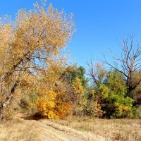 Какое небо голубое... :: Олегъ Петрович