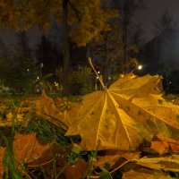 ***** :: юрий поляков ***** :: юрий поляков