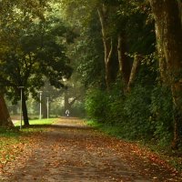 Одинокий велосипедист :: Юрий. Шмаков