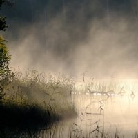 Там за туманами ... :: Андрей Зайцев Там за туманами ... :: Андрей Зайцев