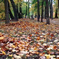 Октябрь :: Наталья Герасимова