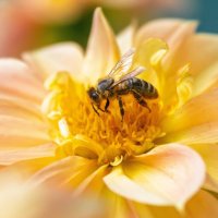 *** :: Виктор Иванович Чернюк