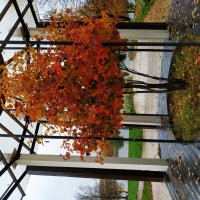 Закрытие велосезона (завтра - операция по удалению пластины из руки) :: Андрей Лукьянов Закрытие велосезона (завтра - операция по удалению пластины из руки) :: Андрей Лукьянов