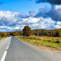 По дорогам Смоленщины. :: Милешкин Владимир Алексеевич 