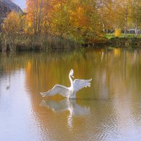 Осенний день :: Сергей Кочнев