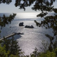 *** :: Елена Агеева