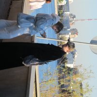 зарисовка :: Елена Шаламова