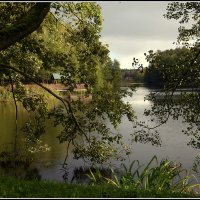 *** :: Aleksandr Gal