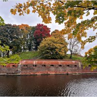 Осень в парке. :: Валерия Комова