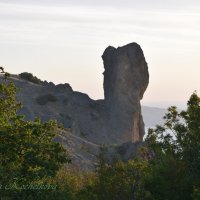 Природа Крыма :: Amazing Cosmea