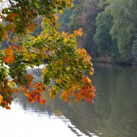 Осень в усадьбе Царицыно :: Константин Анисимов Осень в усадьбе Царицыно :: Константин Анисимов