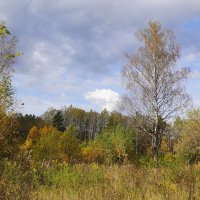 Вот и осень... :: Галина Кан